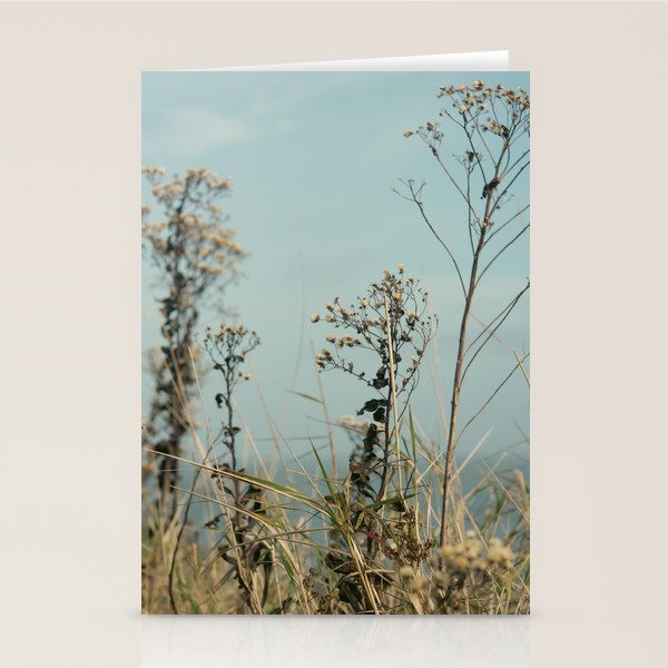 November Field - nature photo environment outdoors Stationery Card Gallery Image 1
