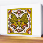 Capricorn Butterfly Wall Mural Gallery Image 2
