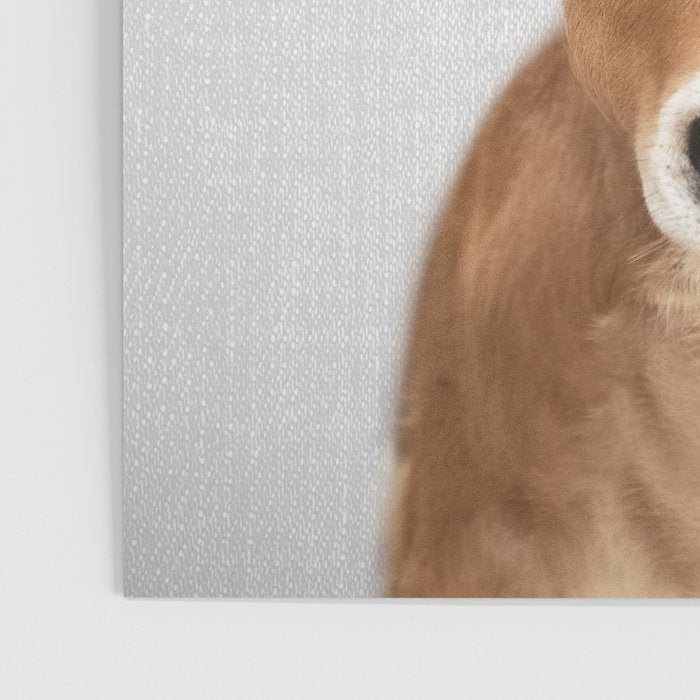 Calf - Colorful Poster Gallery Image 3