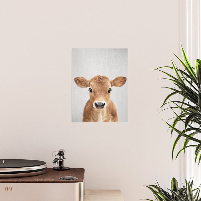 Calf - Colorful Poster Gallery Image 2