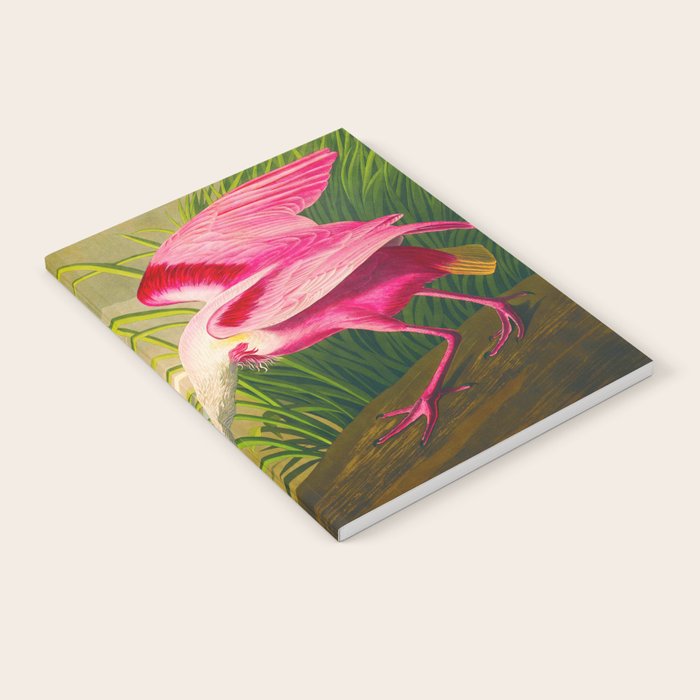 Roseate Spoonbill Bird pink Notebook Gallery Image 1