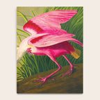 Roseate Spoonbill Bird pink Notebook Gallery Image 4
