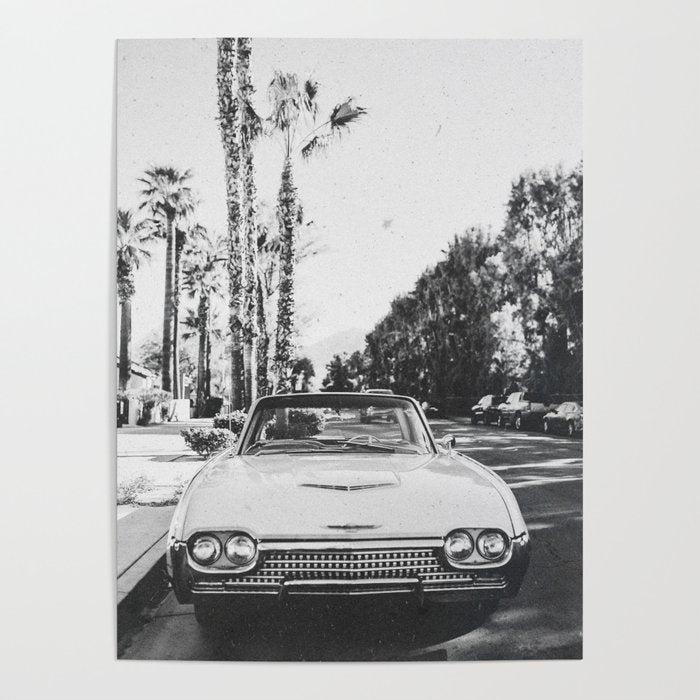 VINTAGE PALM SPRINGS Poster Gallery Image 4