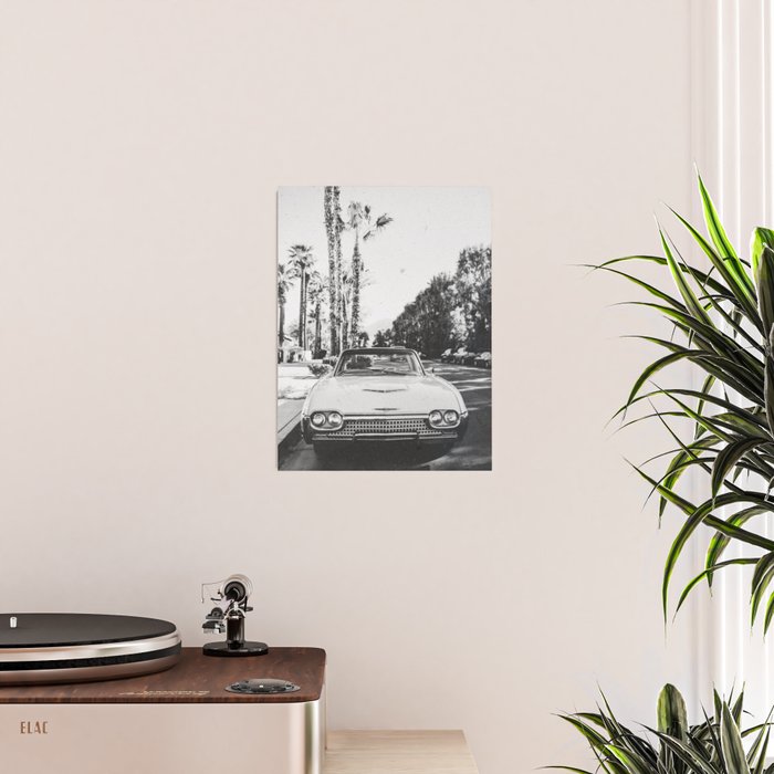 VINTAGE PALM SPRINGS Poster Gallery Image 2