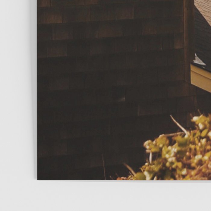 Cannon Beach Cottage Poster Gallery Image 3