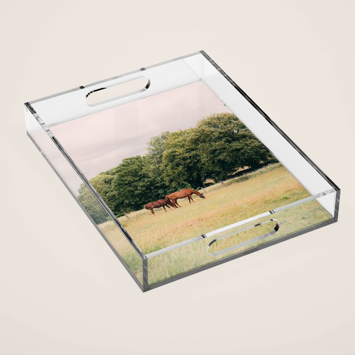 Cotswolds Horses in Rural Pasture Landscape Acrylic Tray Gallery Image 1