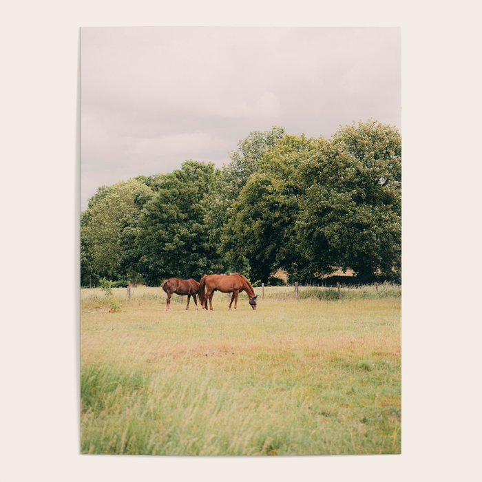 Cotswolds Horses in Rural Pasture Landscape Poster Gallery Image 4