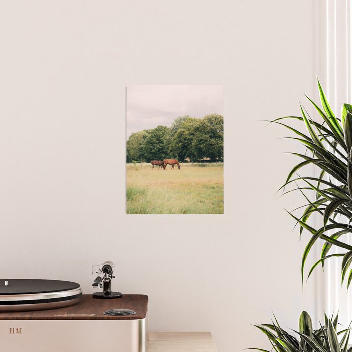 Cotswolds Horses in Rural Pasture Landscape Poster Gallery Image 2
