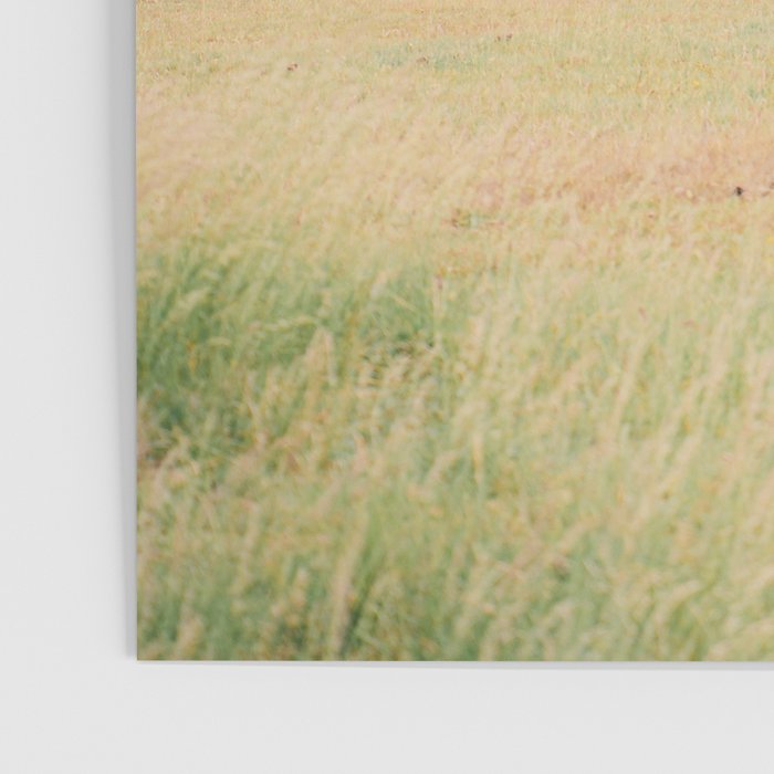 Cotswolds Horses in Rural Pasture Landscape Poster Gallery Image 3