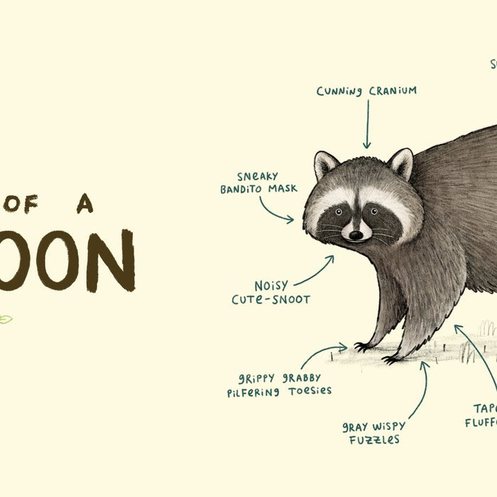 Anatomy of a Raccoon Coffee Mug Gallery Image 2