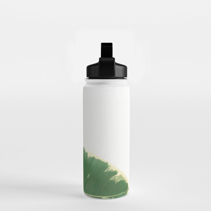 Leaf Study Water Bottle Gallery Image 2