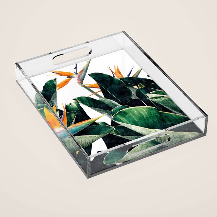 Paradise Bird, Nature Botanical Plant Floral, Tropical Garden Watercolor Painting Acrylic Tray Gallery Image 1