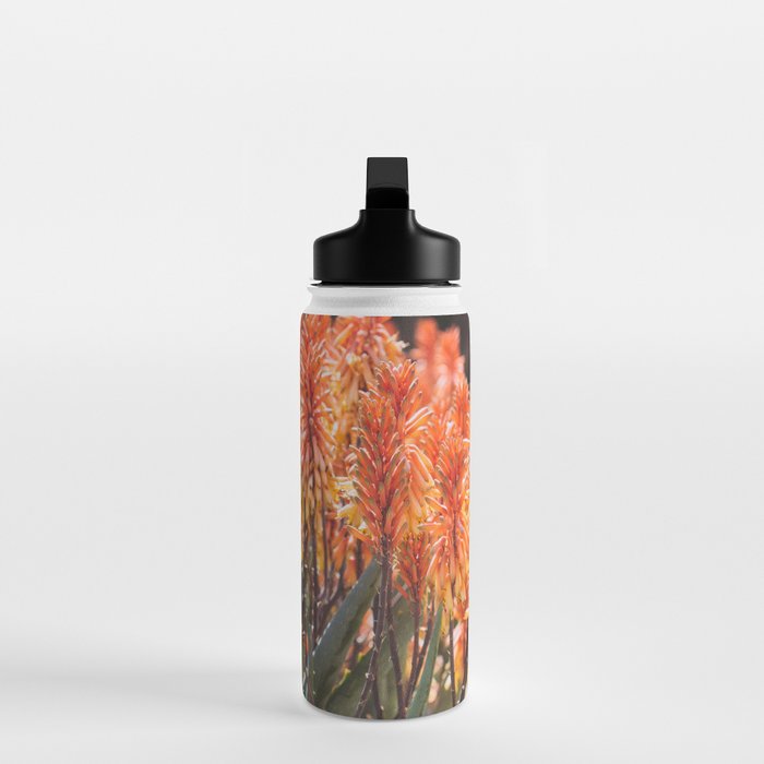 California Coastal Botanical Art x Coastal Aloe Blooms Water Bottle Gallery Image 3