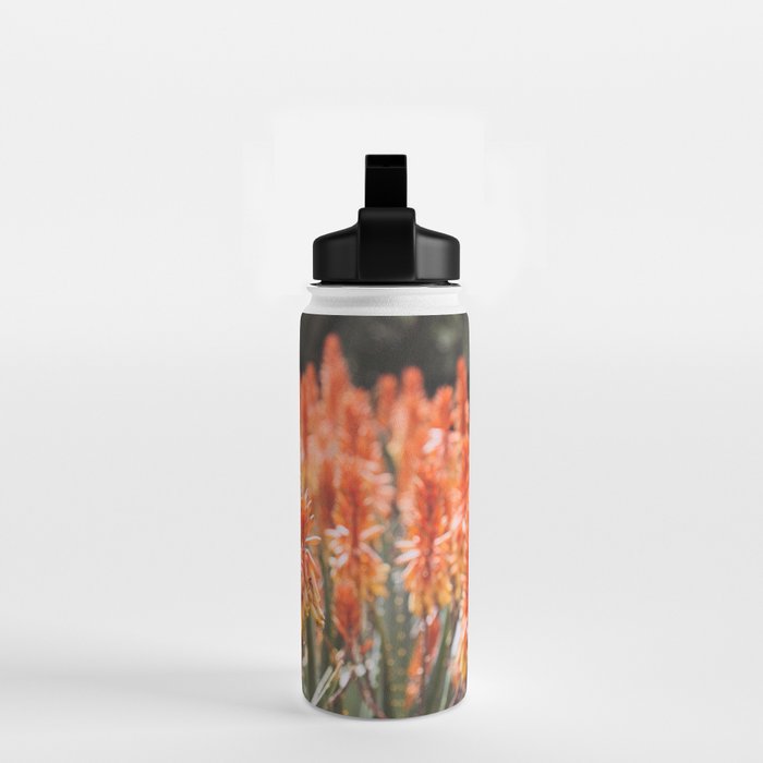 California Coastal Botanical Art x Coastal Aloe Blooms Water Bottle Gallery Image 2