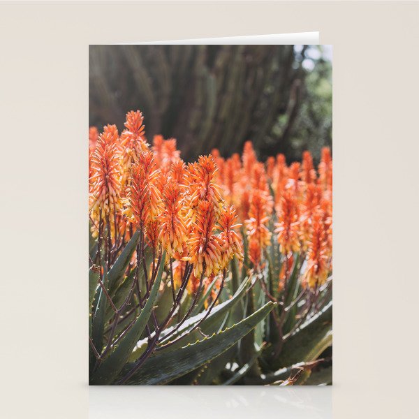 California Coastal Botanical Art x Coastal Aloe Blooms Stationery Card Gallery Image 2