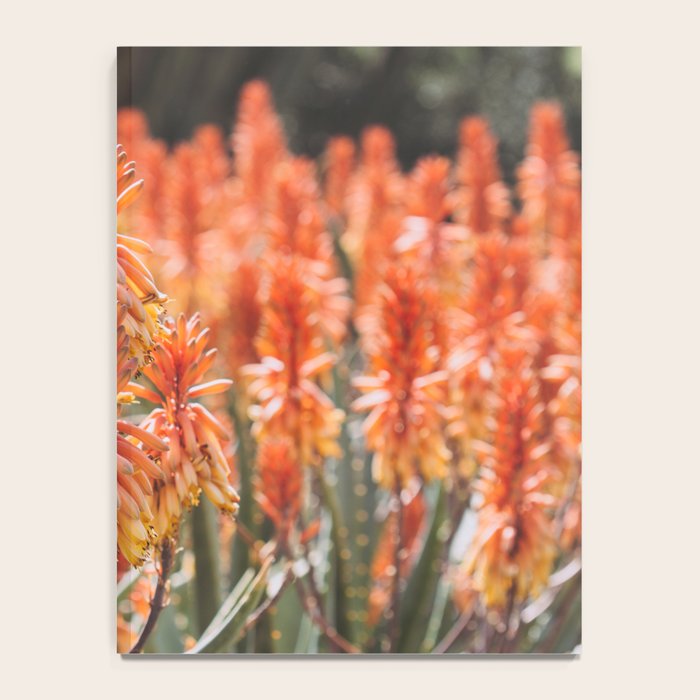 California Coastal Botanical Art x Coastal Aloe Blooms Notebook Gallery Image 4