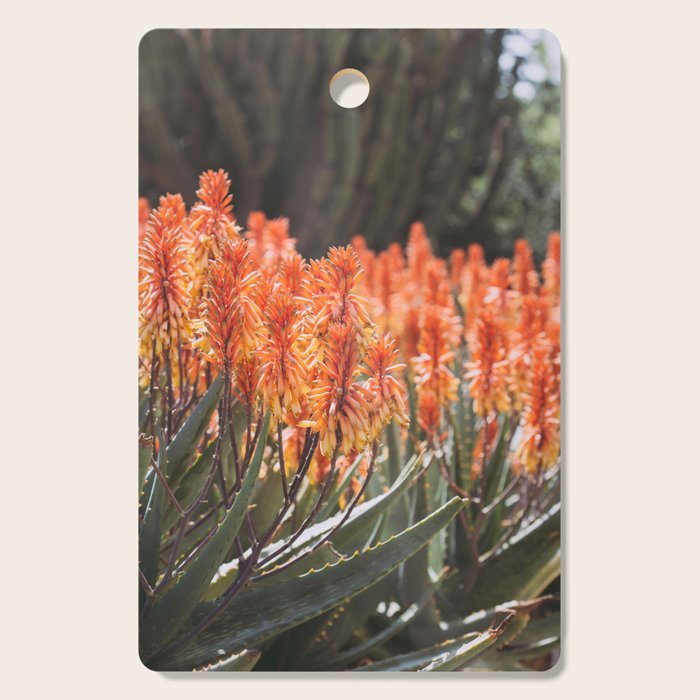 California Coastal Botanical Art x Coastal Aloe Blooms Cutting Board Gallery Image 1