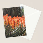 California Coastal Botanical Art x Coastal Aloe Blooms Stationery Card Gallery Image 2