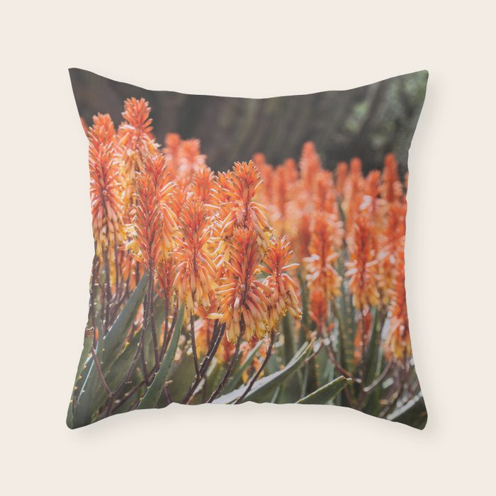 California Coastal Botanical Art x Coastal Aloe Blooms Throw Pillow Gallery Image 1