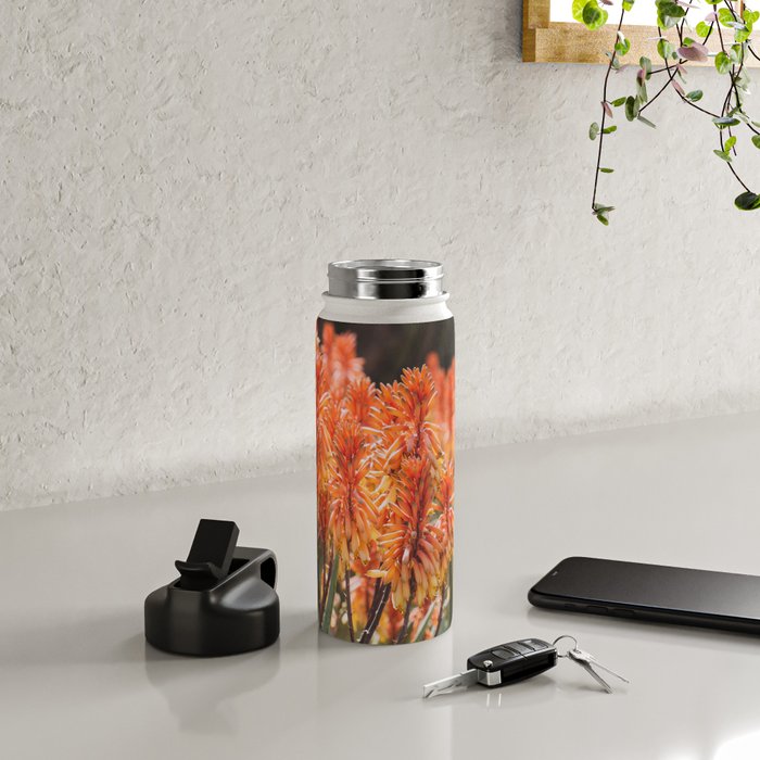 California Coastal Botanical Art x Coastal Aloe Blooms Water Bottle Gallery Image 4