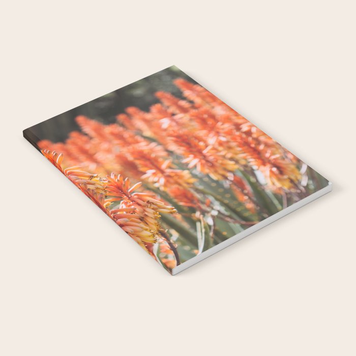 California Coastal Botanical Art x Coastal Aloe Blooms Notebook Gallery Image 2