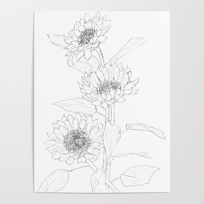 Sunflower Line Sami Poster Gallery Image 4