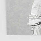 Venus de Milo Poster Gallery Image 3
