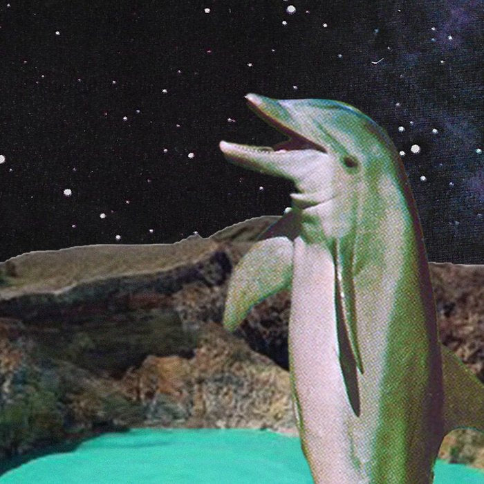 Planet Dolphin Coffee Mug Gallery Image 2