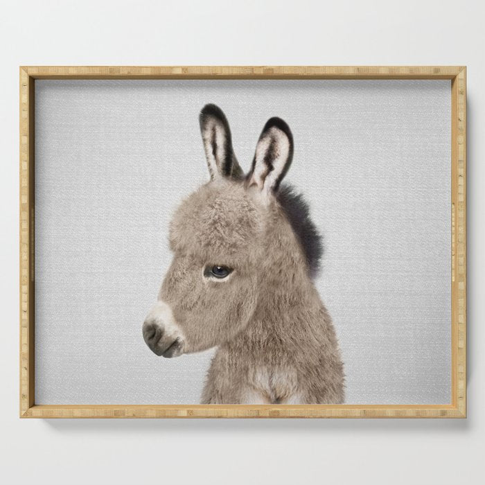 Donkey - Colorful Serving Tray Gallery Image 1