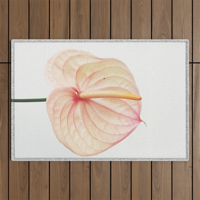 Calla Lily II Outdoor Rug Gallery Image 1