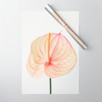 Calla Lily II Wrapping Paper Gallery Image 1