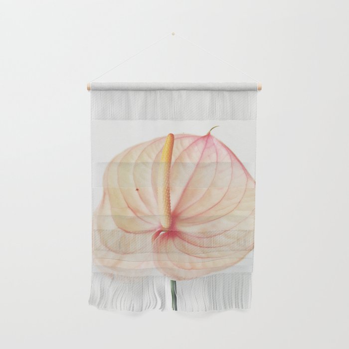Calla Lily II Wall Hanging Gallery Image 1