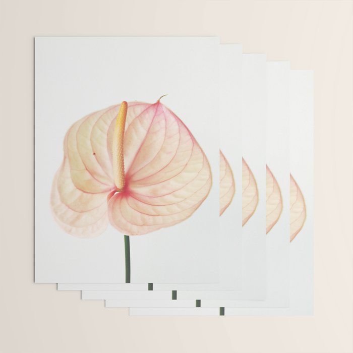 Calla Lily II Wrapping Paper Gallery Image 3