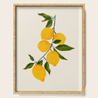 Lemon 3 Serving Tray Gallery Image 1