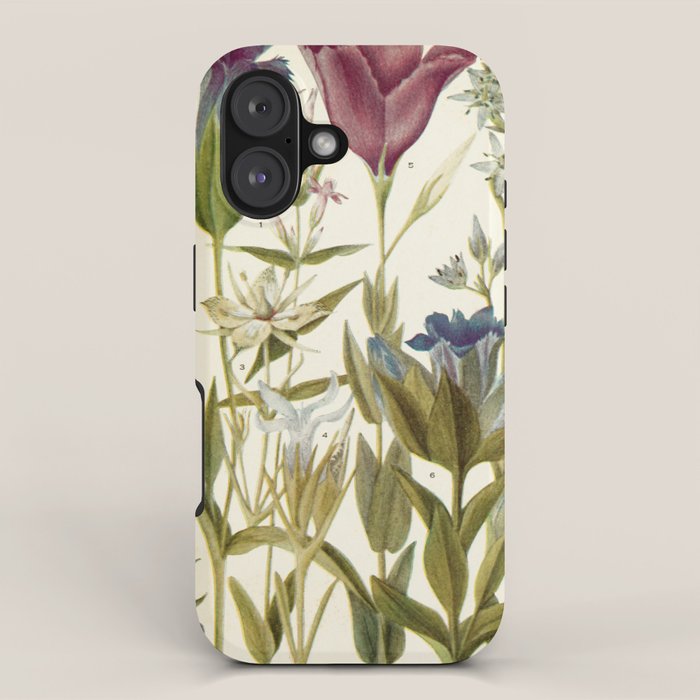 Wildflowers from "Rocky Mountain Flowers" (1914) by Edith Clements (benefitting The Nature Conservancy) iPhone Case Gallery Image 1