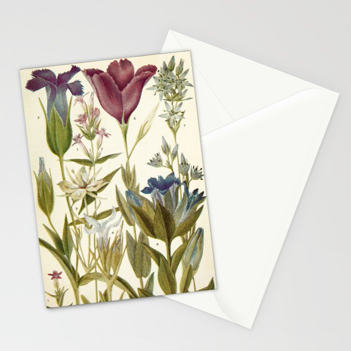 Wildflowers from "Rocky Mountain Flowers" (1914) by Edith Clements (benefitting The Nature Conservancy) Stationery Card Gallery Image 2