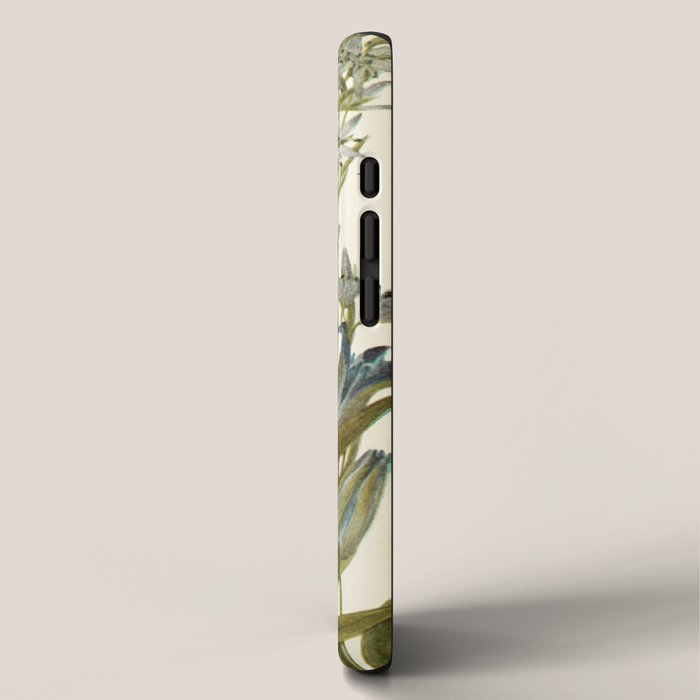 Wildflowers from "Rocky Mountain Flowers" (1914) by Edith Clements (benefitting The Nature Conservancy) iPhone Case Gallery Image 2