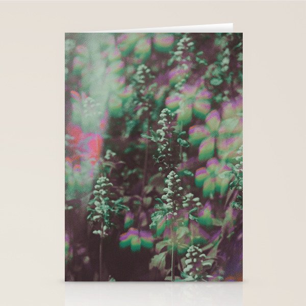 Look See Stationery Card Gallery Image 2