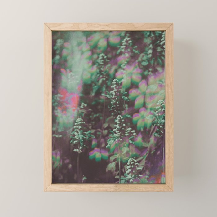 Look See Mini Art Print