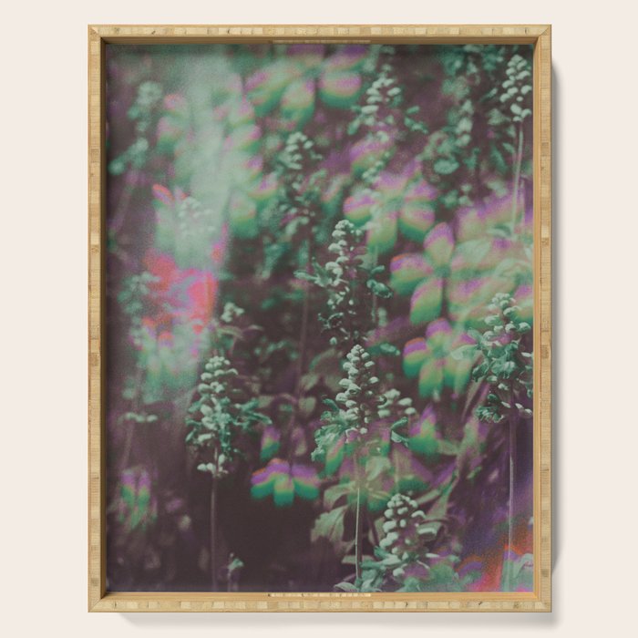 Look See Serving Tray Gallery Image 1