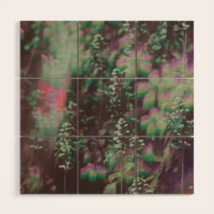 Look See Wood Wall Art Gallery Image 1