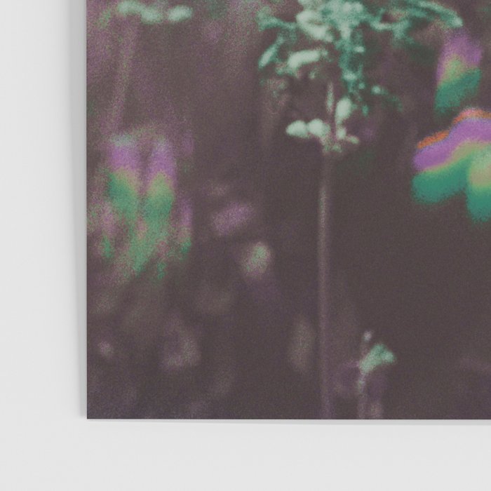 Look See Poster Gallery Image 3