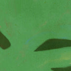 Abstract botanical- Leaf green  Coffee Mug Gallery Image 2