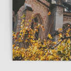 Autumn In Bruges II - Photography Poster Gallery Image 3