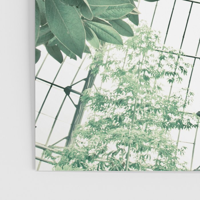 Tropical Greenhouse #2 Poster Gallery Image 3