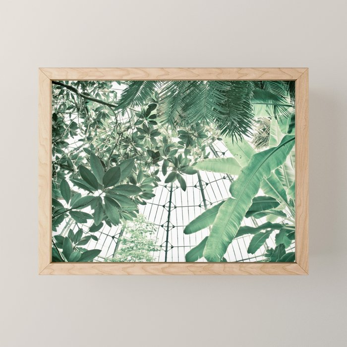 Tropical Greenhouse #2 Mini Art Print Gallery Image 1