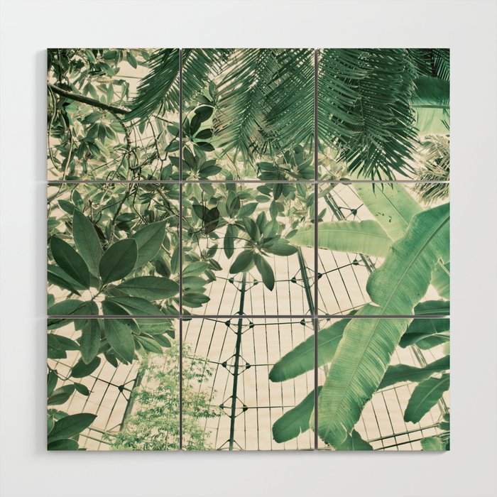 Tropical Greenhouse #2 Wood Wall Art Gallery Image 1