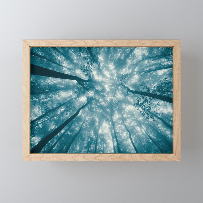 Smoky Mountain Summer Forest Teal - National Park Nature Photography Mini Art Print Gallery Image 1
