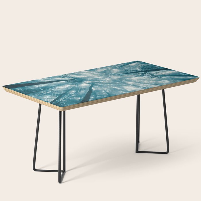 Smoky Mountain Summer Forest Teal - National Park Nature Photography Coffee Table Gallery Image 1