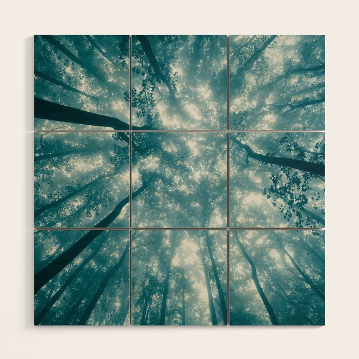 Smoky Mountain Summer Forest Teal - National Park Nature Photography Wood Wall Art Gallery Image 1